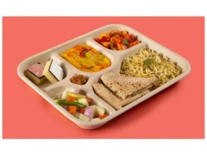 Chuk Disposable Meal Plate